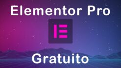 Elementor PRO WordPress Page Builder